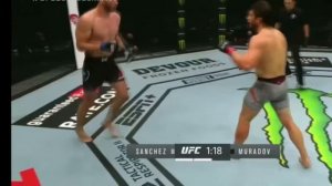 махмуд мурадов бой