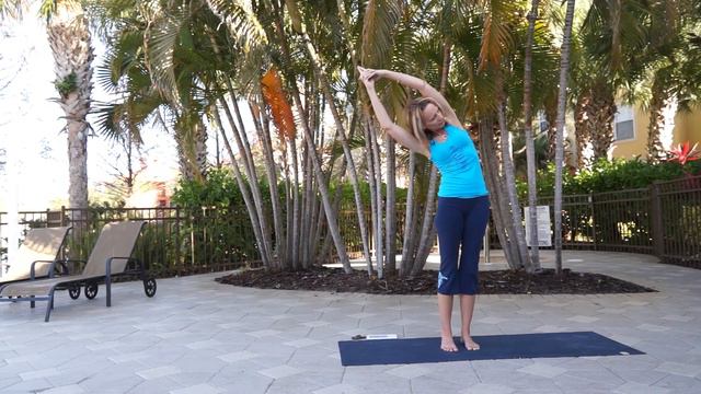 Yoga with Melissa 160 Wildlife of Florida: Dolphin, Alligator and Tortoise Pose Intermediate Yoga смотреть онлайн