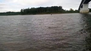 лодочный мотор микатсу 9.8