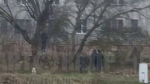 В Курске прямо перед школьными воротами повесился мужчина