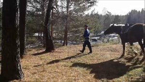 Стихотворение Дмитрия Пименова - "Край земли"