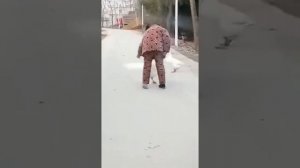 Драка между человеком и гусем