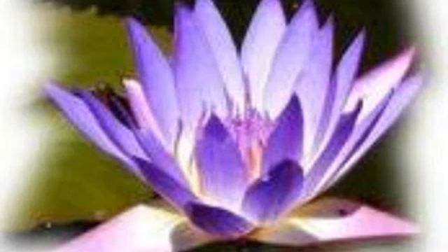 Meditation my own expirience ( Part 1) смотреть онлайн