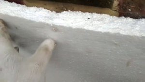 Клеем пенопласт и бетон!