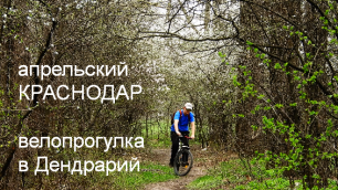 Апрельский Краснодар - прогулка  на велосипеде в дендрарий.