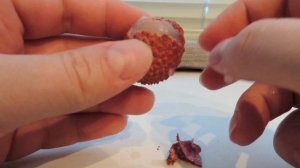 Как же ПравЕльно есть ЛИЧИ??? ЭКЗОТИКА ЁПТ