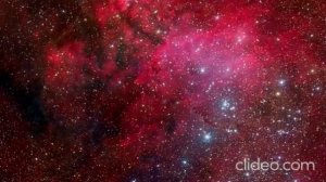 Эго помощник разума.