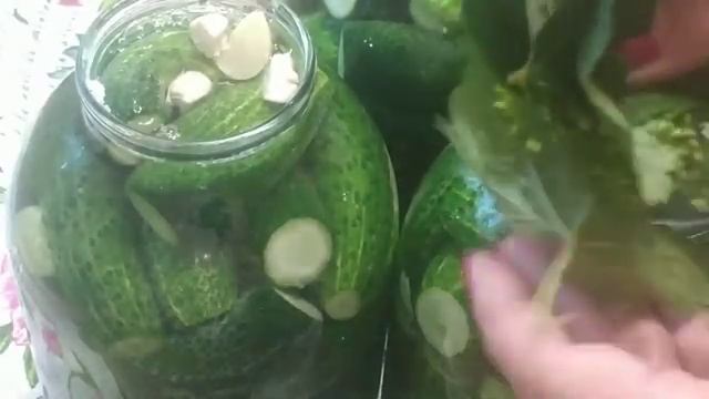 Самые хрустящие и самые вкусные бочковые огурцы в банке на зиму!