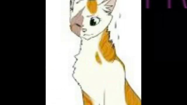 Яролика коты воители