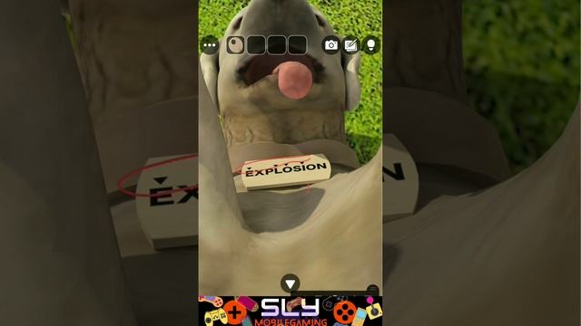 Dog Run Escape Game Walkthrough (GBFinger Studio) 脱出ゲーム ドッグラン смотреть онлайн