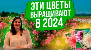 Выращиваем эти цветы в 2024 году! Новые и редкие сорта георгинов. Многолетники 2024.