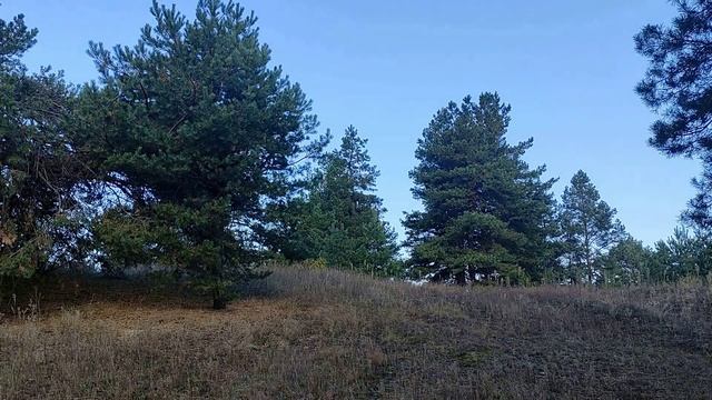 14 ноября праздник Осенние Кузьминки. Народные приметы и традиции. Запреты дня. Именинники дня. смотреть онлайн