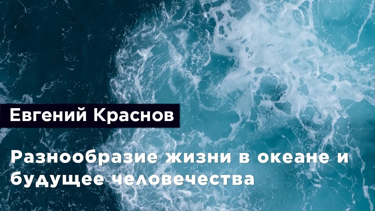 Евгений Краснов — Разнообразие жизни в океане и будущее человечества