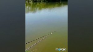 Рыбалка на карася Herabuna Москва, Южное Бутово. Херабуна рулит!