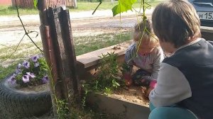 В поисках клада)