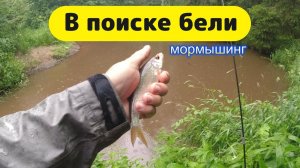 #мормышинг  | В поисках бели | Озеро и микро речка |