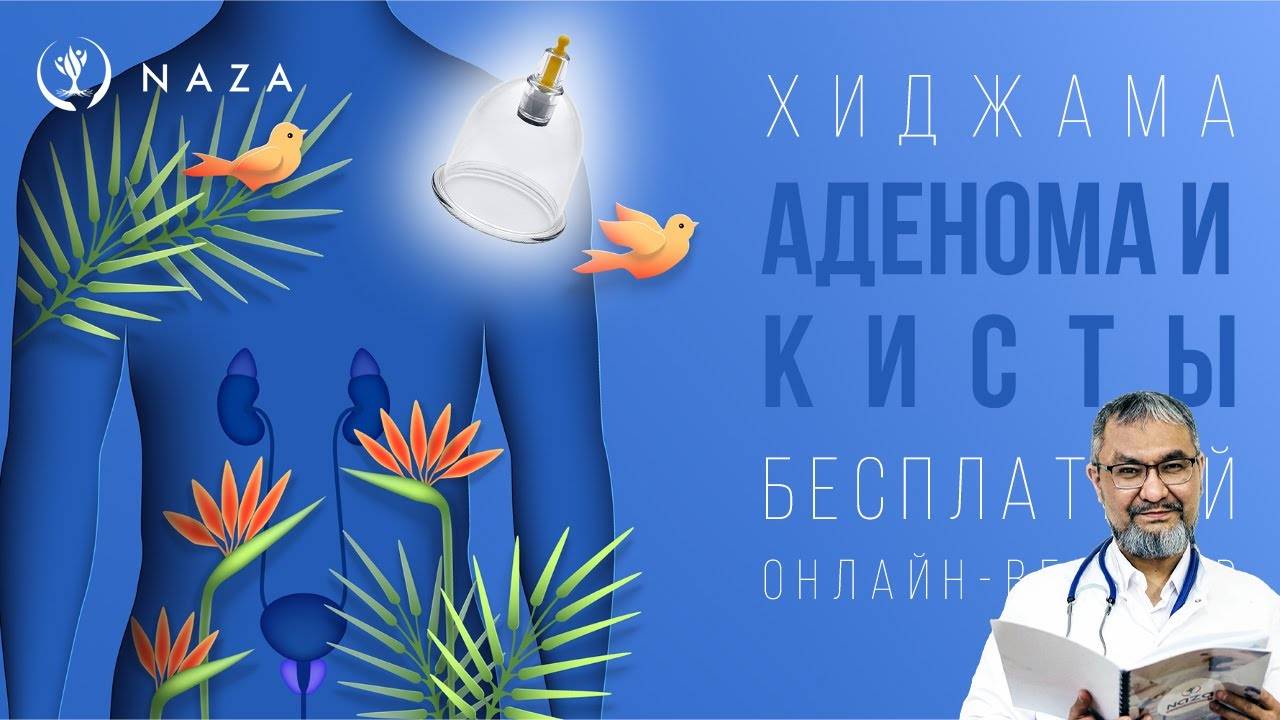 ХИДЖАМА: АДЕНОМЫ И КИСТЫ / ПРЕДСТАТЕЛЬНАЯ И ЩИТОВИДНАЯ ЖЕЛЕЗА / РАЗБОР ВОПРОСОВ