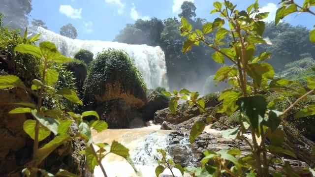 Расслабляющая фоновая музыка со звуком водопада, фортепианная музыка, лучшая успокаивающая музыка смотреть онлайн