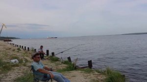 Сазаны!!! Фидерная рыбалка на Волге. День второй.