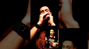 "Я милого узнаю по походке" ( на губной гармошке и укулеле)