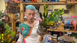 Кодиеум Магнифисент - обзор яркого солнечного сорта | Достойный конкурент цветущим растениям