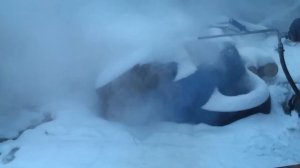 Evopur дизельный пример работы мобильный парогенератор продам