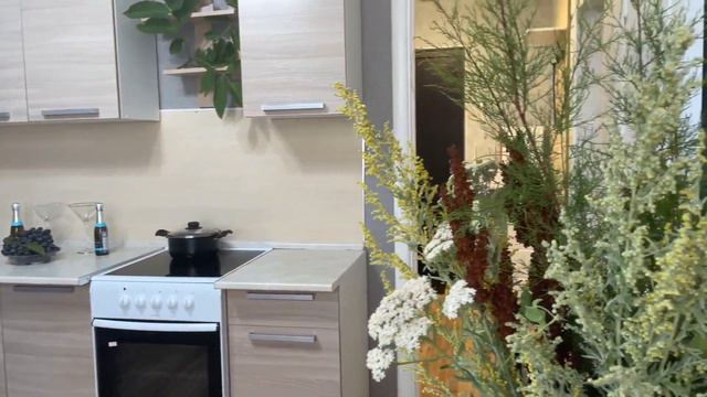 Суточно Новороссийск  АН ФРЕГАТ