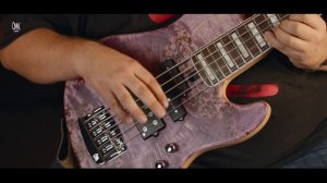 Hadrien Feraud & Federico Malaman – Tina Turner   We don't need another hero [Bass cover]
