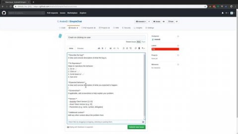 How to report bugs in Github