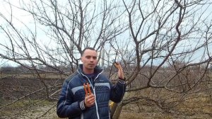Весенняя обрезка формировка фруктового сада / Хочешь большой урожай делай так!