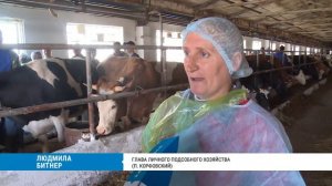 Фермеров в Хабаровском крае учат выявлять болезни у коров