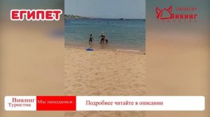 Поездка в Египет. Шарм эль Шейх. Отзыв туриста о работе Викинг Туристик