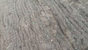 Борона своими руками. Уничтожаем сорняки (із бур'янами)