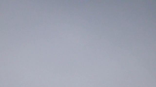 бескружные голуби Маркова А смотреть онлайн