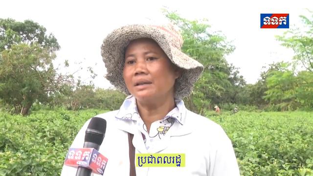 2018 08 23 បរធនបទ ដណផកមល