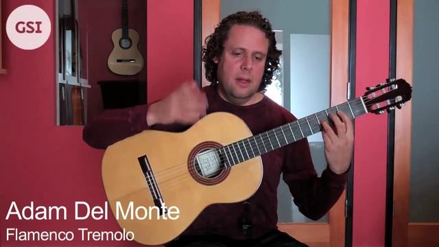 Adam Del Monte - Flamenco Tremolo Lesson: Flamenco Guitar at Guitar Salon International смотреть онлайн