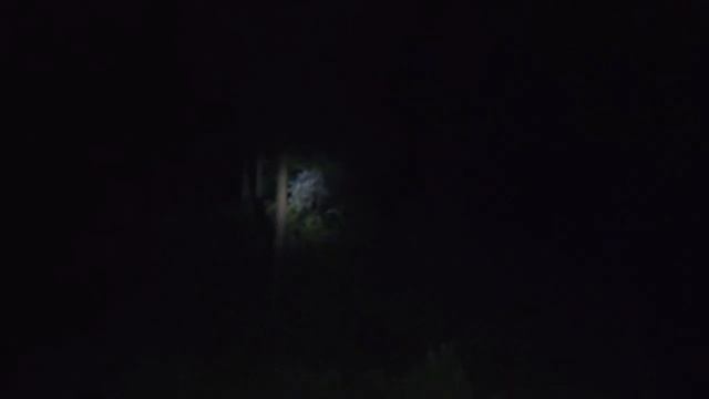 कसौली दक्षियानी कब्रिस्तान | Surviving gone wrong in Grave Yard | Haunted Kasoli Graveyard смотреть онлайн