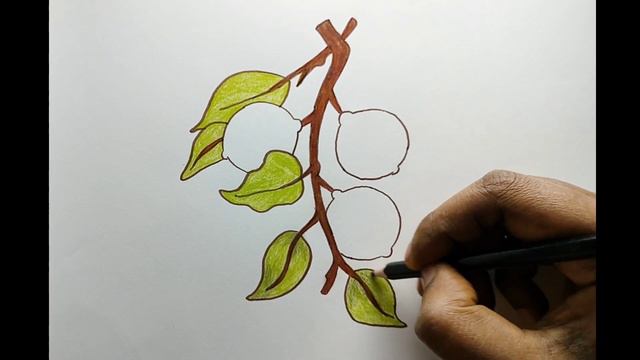 How To Draw Bunch Of Lemons 🍋 Step By Step. смотреть онлайн