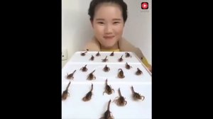 Как едят насекомых. Девушка ест скорпионов, тараканов, гусениц.