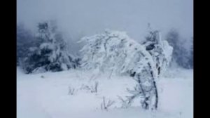 Осенняя роса. Слова: Ю. Гарин, музыка: И. Йошка , исп.: Т. Рехельс