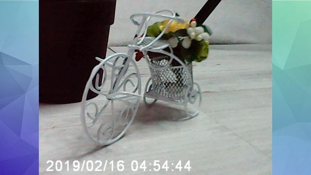 Детский Фотоаппарат Lemon Tree смотреть онлайн