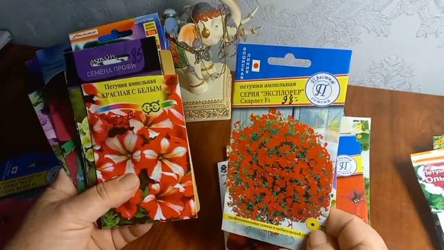 какие  семена петуньи выбрала на следущее лето! поговорим о лучших сортах петуний..