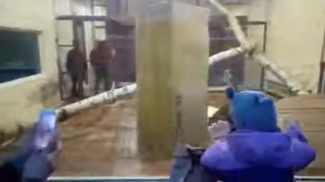 Ekzootik Park смотреть онлайн