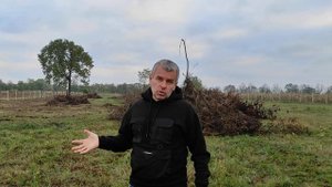 Начинаем посадку сада черешни