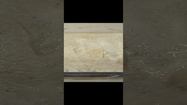 СУФЛЕ ИЗ РЫБЫ! ДИАБЕТ 2 ТИПА. смотреть онлайн