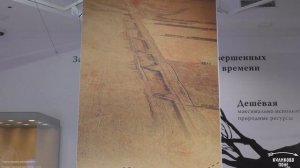 Засечная черта. Что она собой представляла? Выставка «Государева стража».