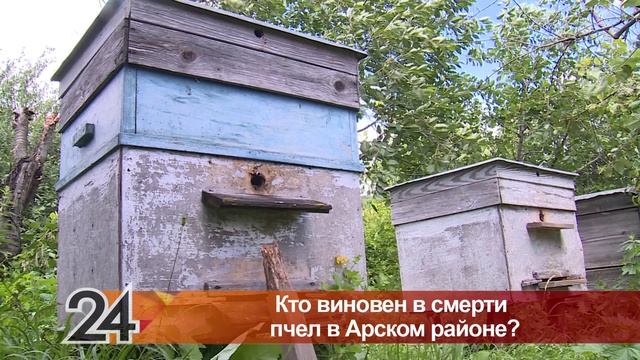 Массовый мор пчел снова накрыл Татарстан, но специалисты это опровергают