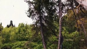 Сплав по реке Лодьма.