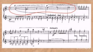 Курица К. Сен-Санса