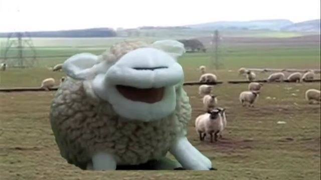 Puppet World Holy Sheep Week 1